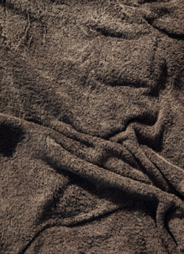 Empreinte (The Imprint) Brown n°7, 2010