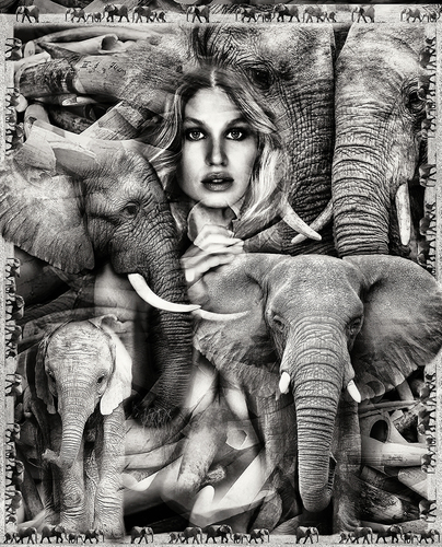 PROTECT THE PLANET : Elephant