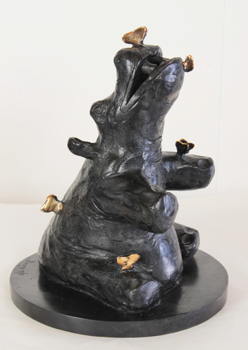 Hippo papillons
