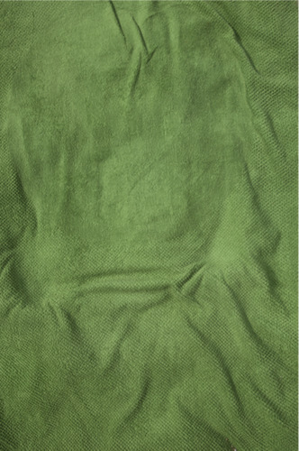 Empreinte (The Imprint) Green n°8, 2010