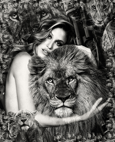PROTECT THE PLANET : Lion