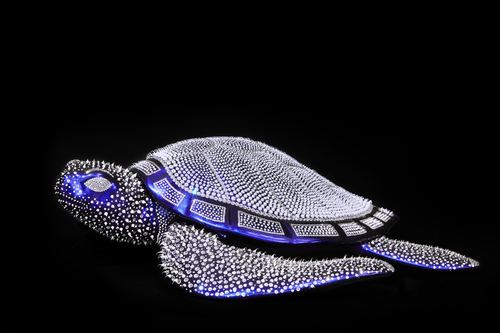 Tortue - Bleu Cameleon, 2021