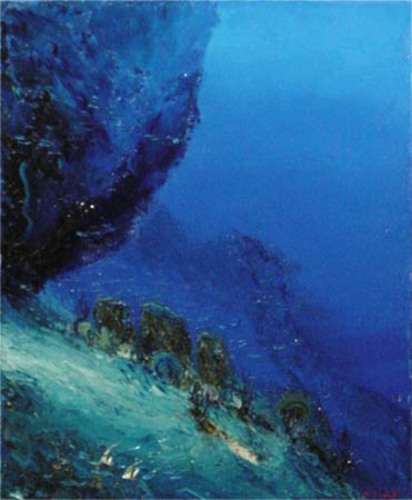 La cocoune nord de Saint pierre Martinique
