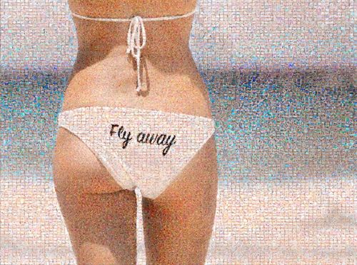MIX - Fly Away, 2019
