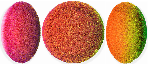 B20-H048-R80, 2020