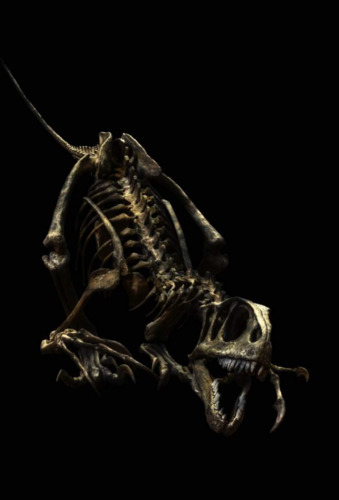 Unenlagia Comahuensis