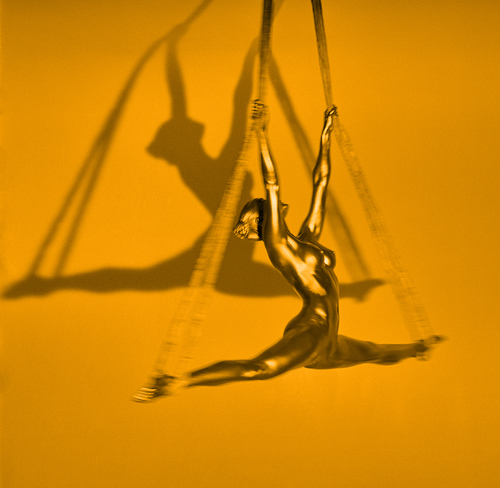 Tefnut - gold, 2020