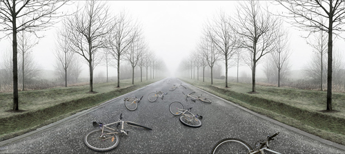Bicyclettes abandonnées, 2006