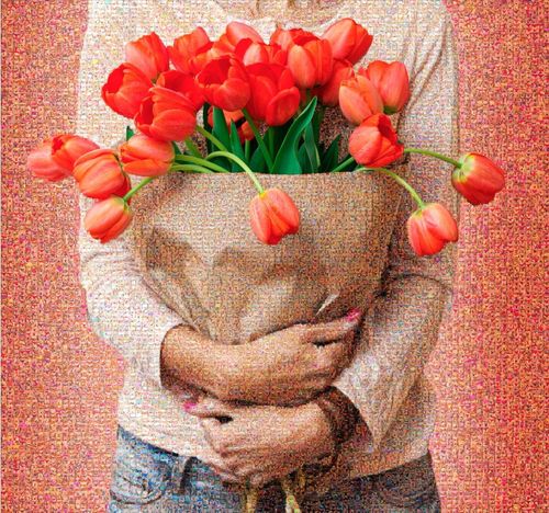 Plein d'Amour, 2019
