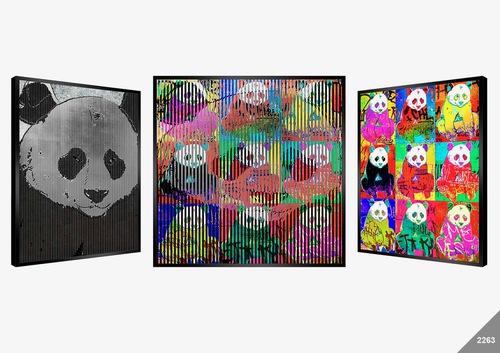 Coffret édition Panda Argent